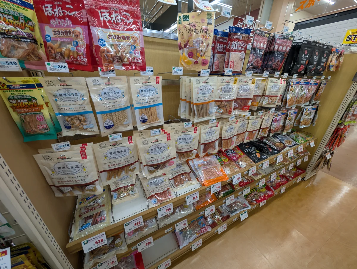 日常のトイプードルのレオンと関節ケア