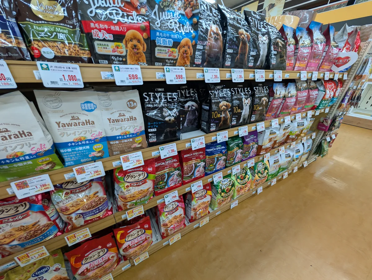 シニアトイプードルはフードと生活ケアの両輪が大切