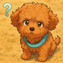 トイプードルのレオン