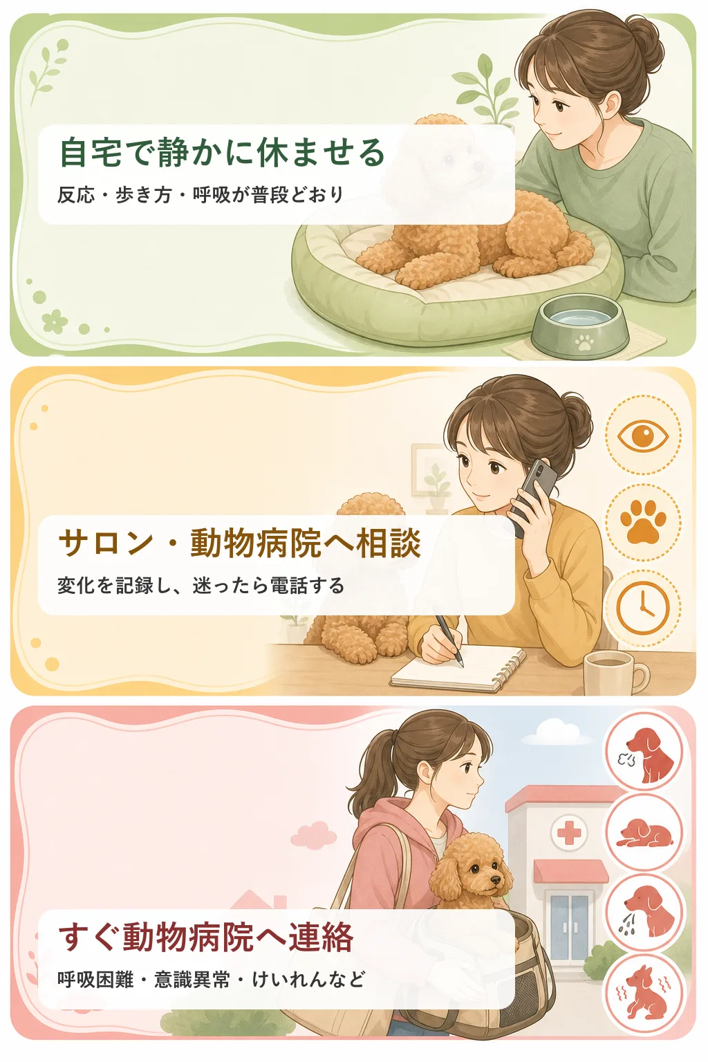 トリミング後のトイプードルを自宅で休ませる、相談する、すぐ動物病院へ連絡する3段階の判断図解