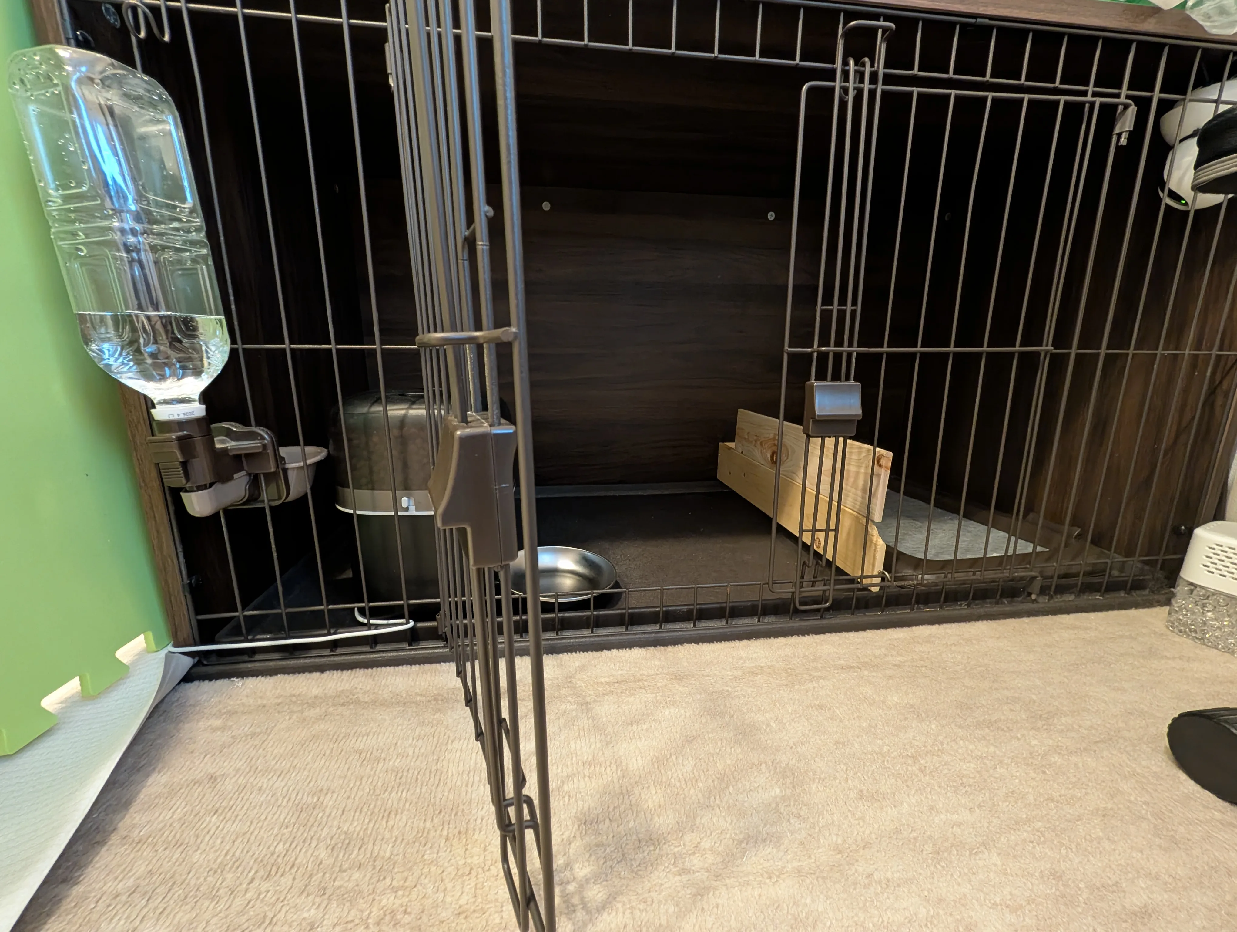 眠そうなトイプードル