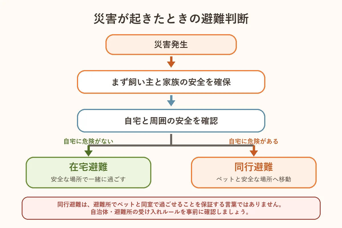 自宅の安全確認から在宅避難か同行避難かを判断する流れの図解