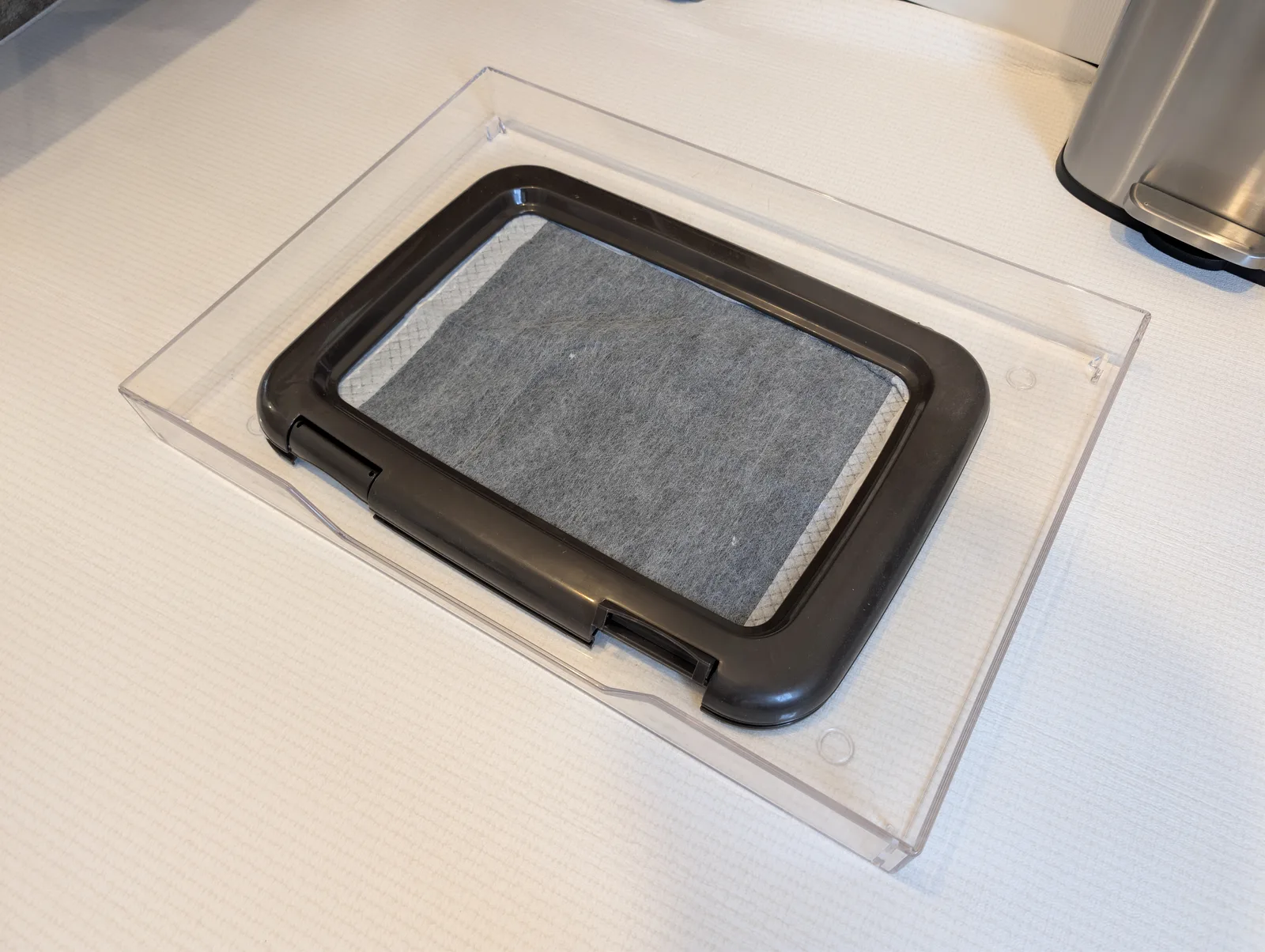 ペットシーツの上でくつろぐトイプードルのレオン