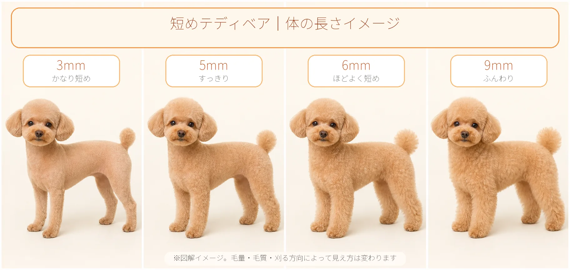 トイプードルの短めテディベアカットを3mm・5mm・6mm・9mmで比較した図解イメージ