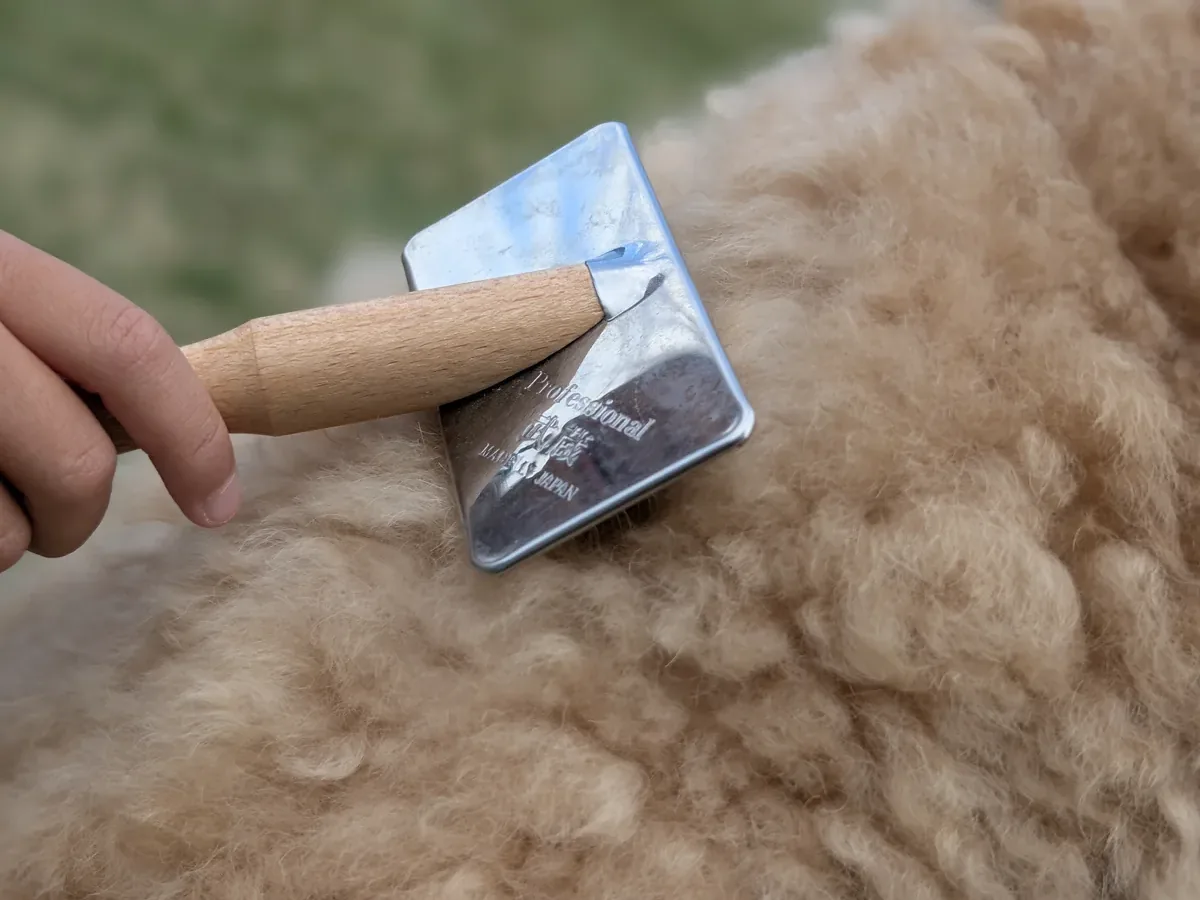 レオン家で使用している武蔵プロ用ステンレススリッカーブラシ ソフトタイプ小