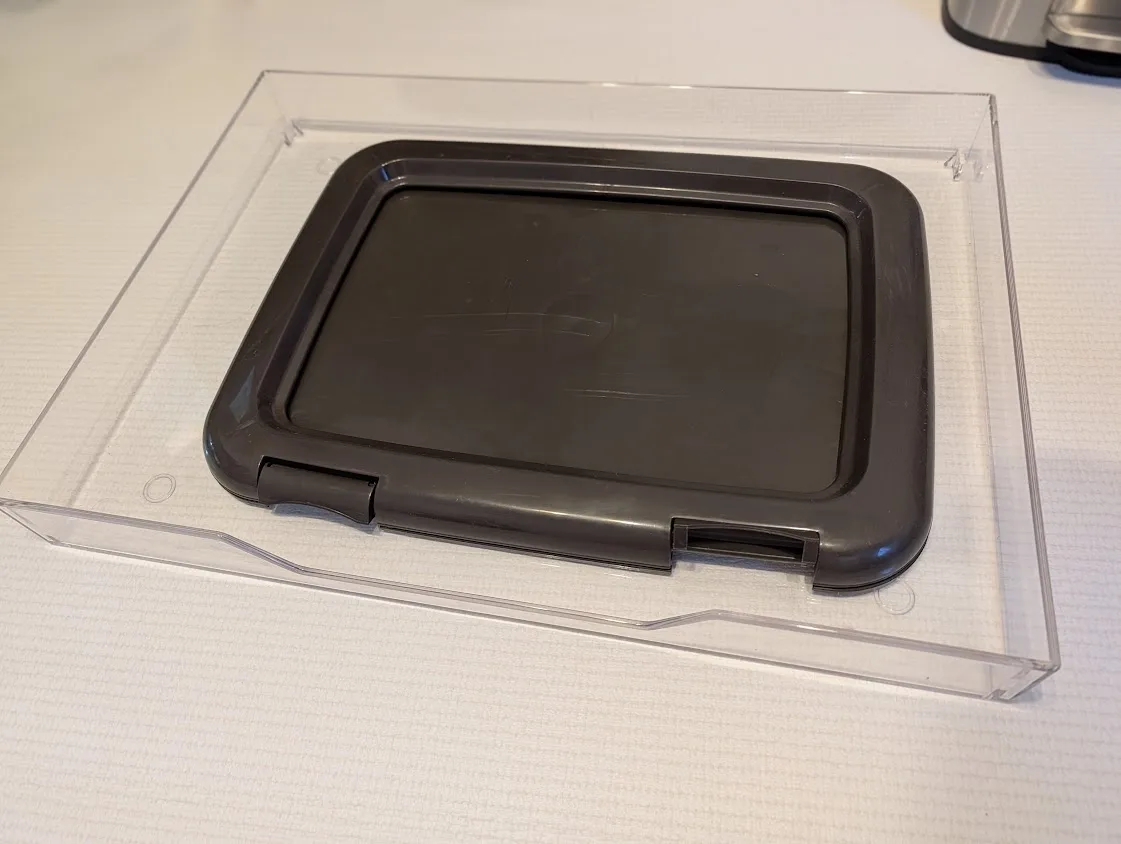 幼いころのトイプードルのレオン