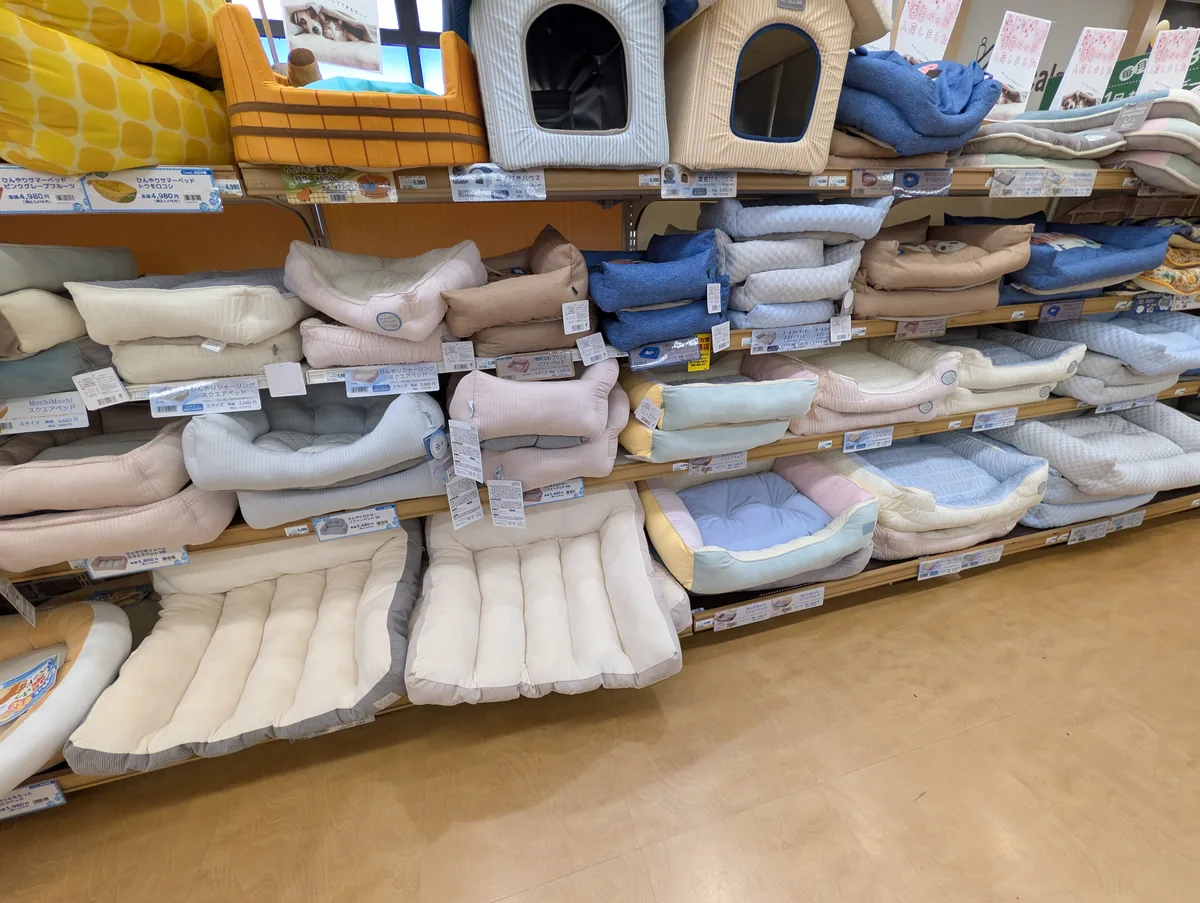 冬の留守番用ベッドを選ぶためのペットベッド売り場